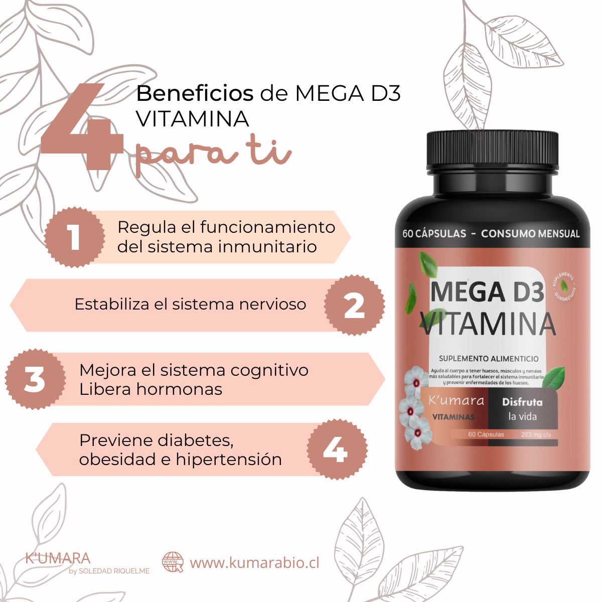 Vitamina Mega D3 60 Cápsulas